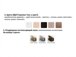 Шкаф-купе Акцент-Сим Д 1600-600 шимо светлый в Карталах - kartaly.magazinmebel.ru | фото - изображение 3