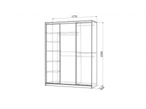 Шкаф-купе Бассо 7-600 49 венге в Карталах - kartaly.magazinmebel.ru | фото - изображение 3