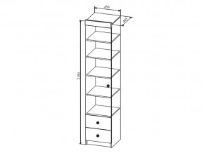 Шкаф Сканди ШД450.1 в Карталах - kartaly.magazinmebel.ru | фото - изображение 2